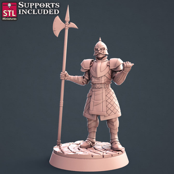 Dungeons & Dragons - STL Miniatures - City Guards Set