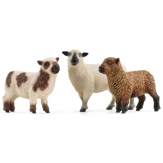 Schleich - Farm World - 3 Får - 42660
