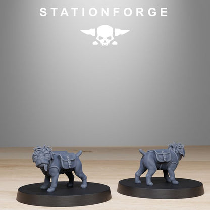 Wargames - Stationforge - GrimGuard - Skulldart Trappers Squad (12 Figurer)