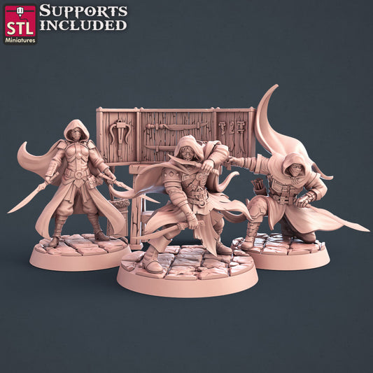 Dungeons & Dragons - STL Miniatures - Assassins Set
