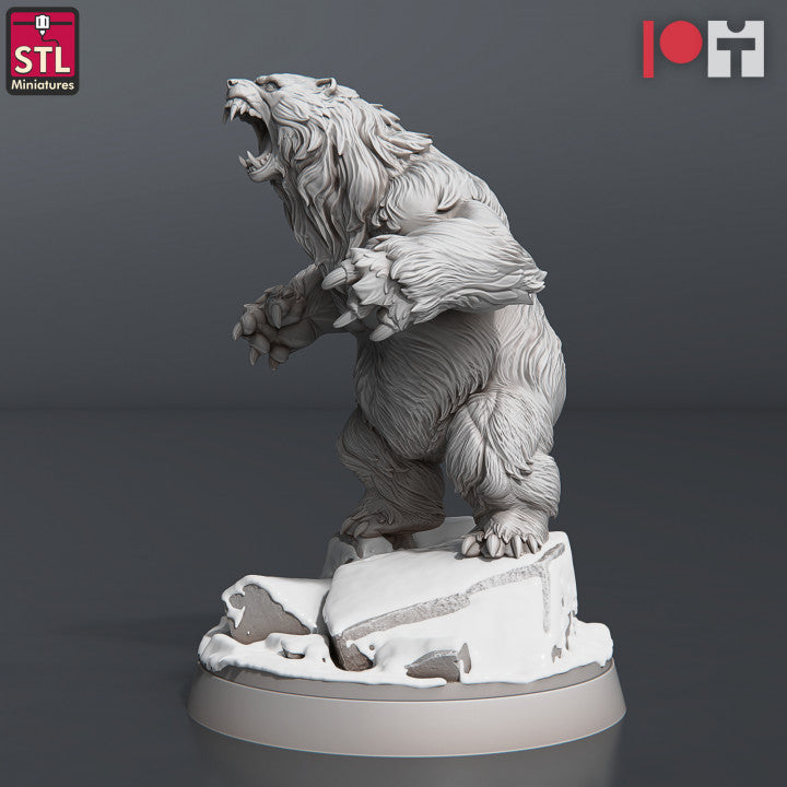 Dungeons & Dragons - STL Miniatures - Bears Set (3 Figurer)