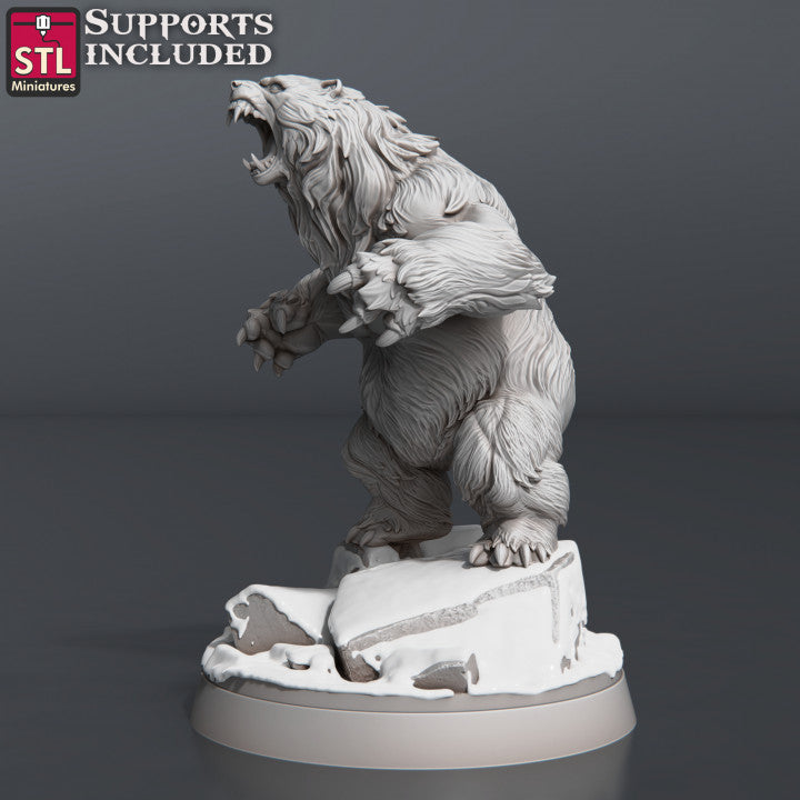 Dungeons & Dragons - STL Miniatures - Bears Set (3 Figurer)