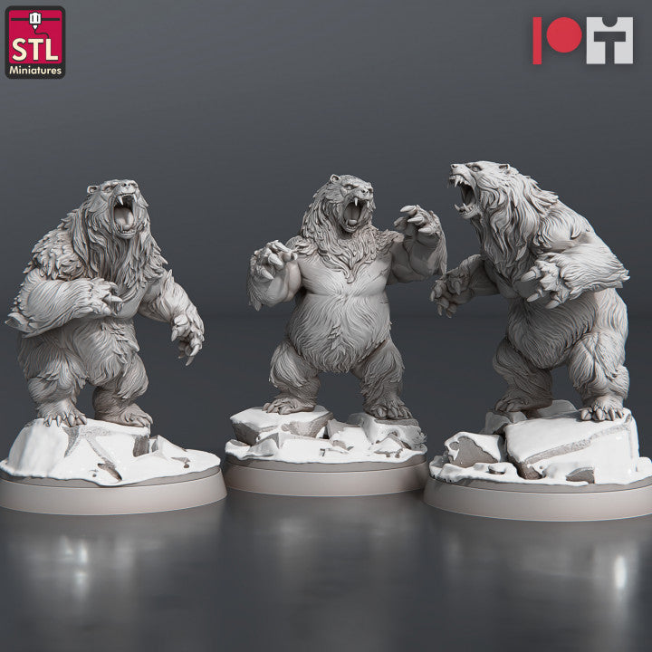 Dungeons & Dragons - STL Miniatures - Bears Set (3 Figurer)