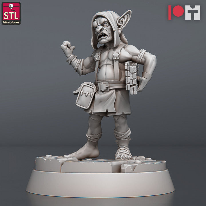 Dungeons & Dragons - STL Miniatures - Carpenter Set