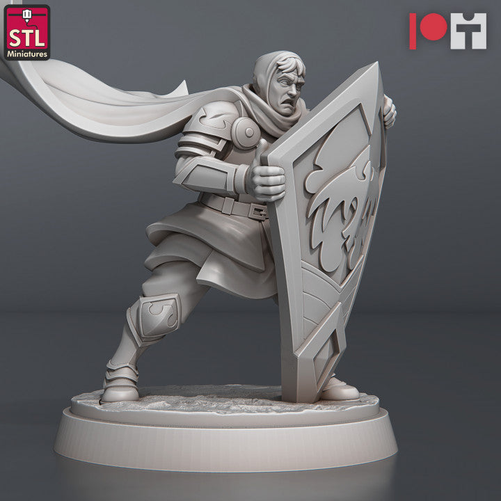 Dungeons & Dragons - STL Miniatures - DnD Tribute Set