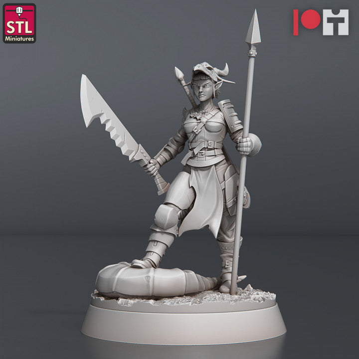 Dungeons & Dragons - STL Miniatures - Dragon Hunters Set