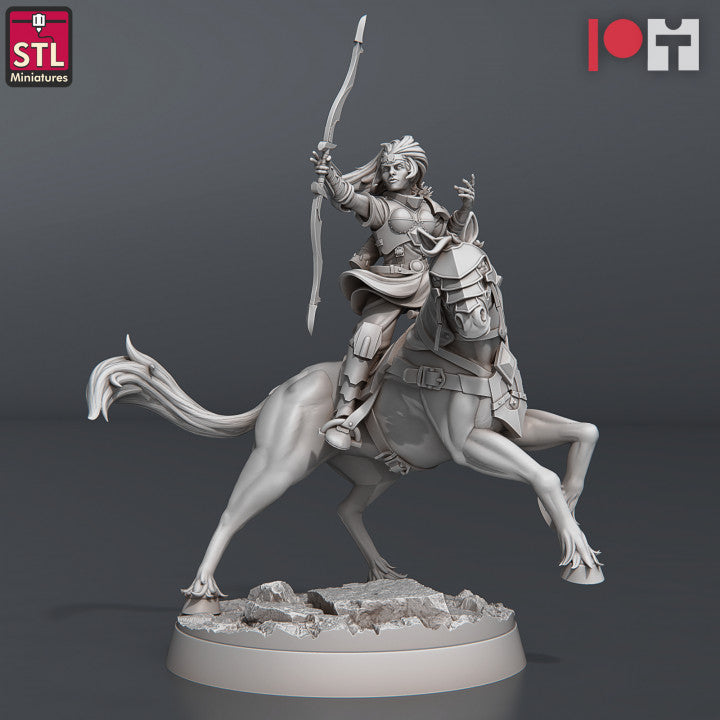 Dungeons & Dragons - STL Miniatures - Dragon Hunters Set