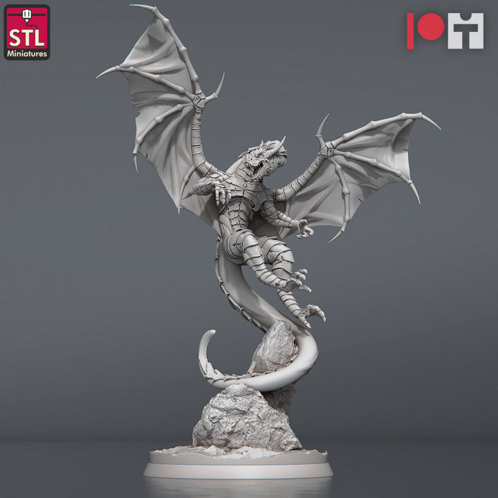 Dungeons & Dragons - STL Miniatures - Dragon Hunters Set