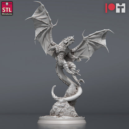 Dungeons & Dragons - STL Miniatures - Dragon Hunters Set