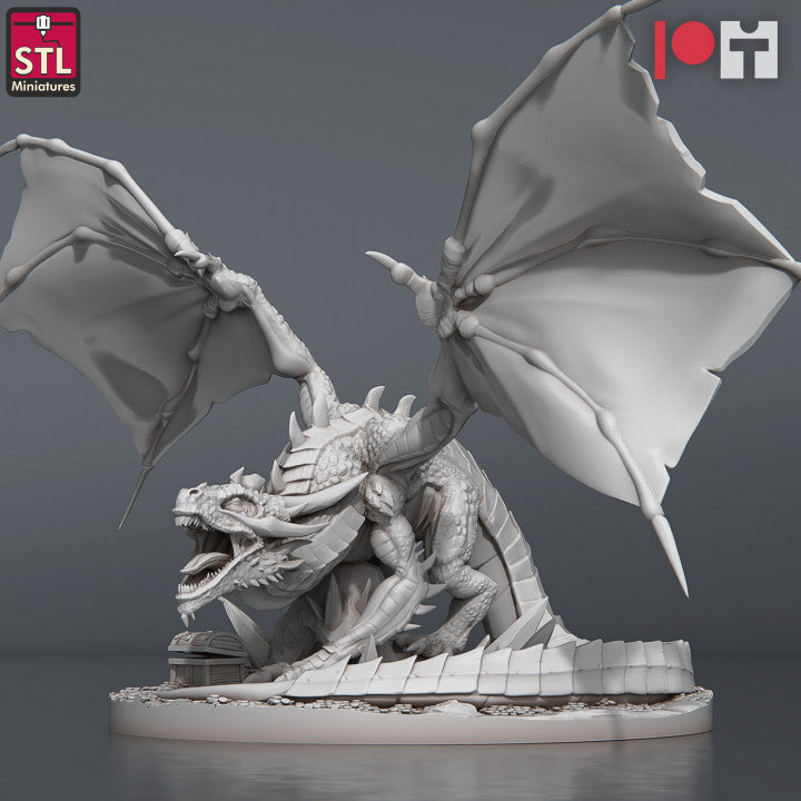 Dungeons & Dragons - STL Miniatures - Dragon Hunters Set