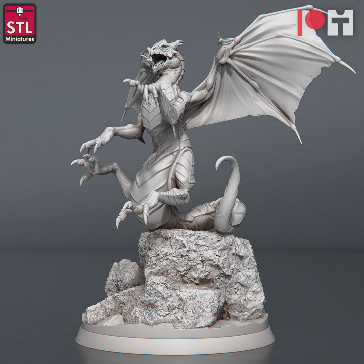 Dungeons & Dragons - STL Miniatures - Dragon Hunters Set