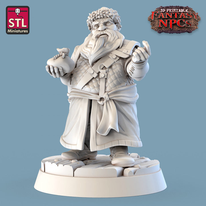 Dungeons & Dragons - STL Miniatures - NPCs (10 Figurer)
