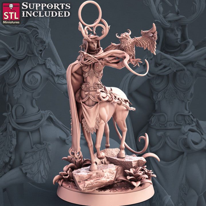 Dungeons & Dragons - STL Miniatures - Centaur Set