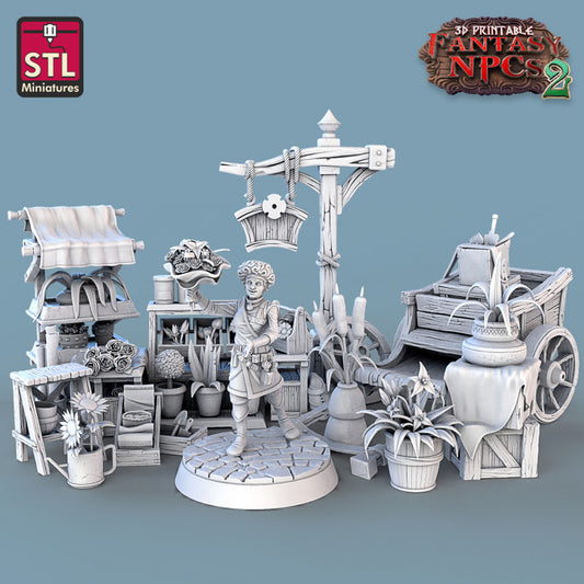 Dungeons & Dragons - STL Miniatures - Florist Set