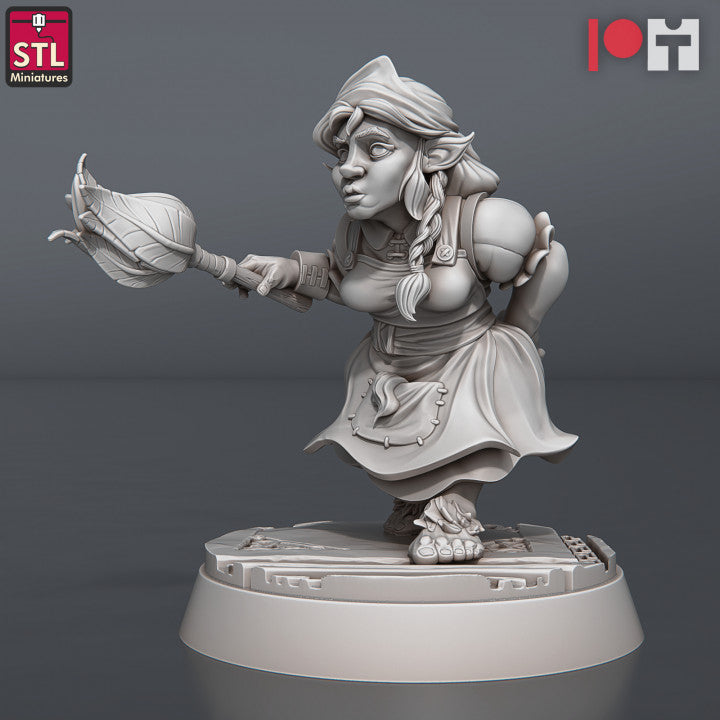 Dungeons & Dragons - STL Miniatures - Guild Masters Set