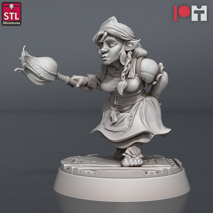 Dungeons & Dragons - STL Miniatures - Guild Masters Set