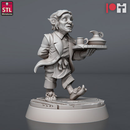 Dungeons & Dragons - STL Miniatures - Guild Masters Set