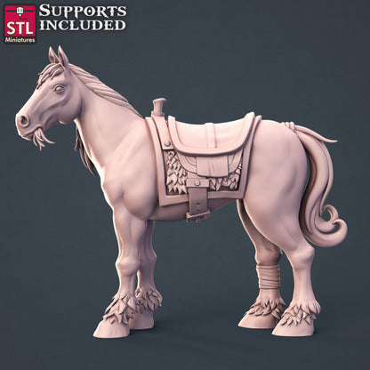 Dungeons & Dragons - STL Miniatures - Horse Trainer Set