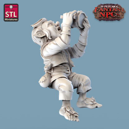 Dungeons & Dragons - STL Miniatures - Inn Set