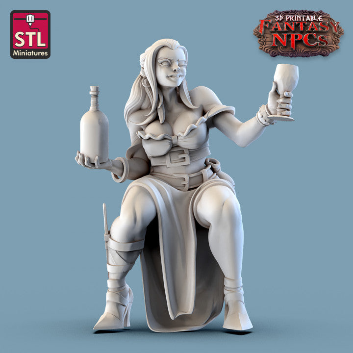 Dungeons & Dragons - STL Miniatures - Inn Set