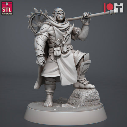 Dungeons & Dragons - STL Miniatures - Inquisitors Set