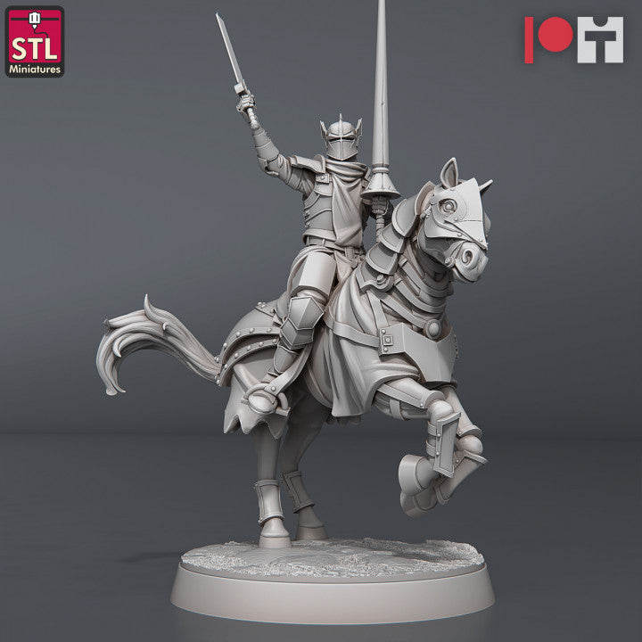 Dungeons & Dragons - STL Miniatures - Jousting Set