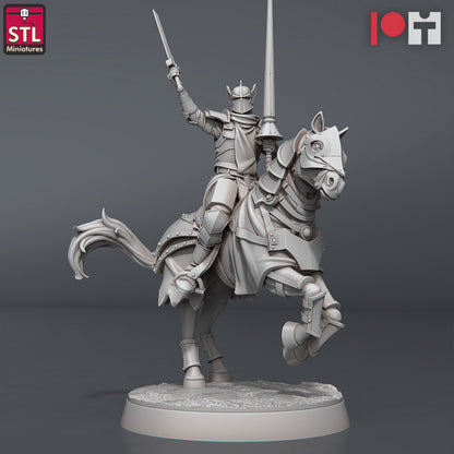 Dungeons & Dragons - STL Miniatures - Jousting Set