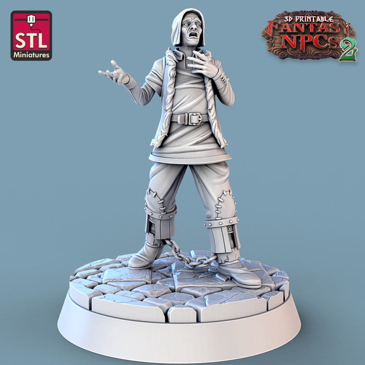 Dungeons & Dragons - STL Miniatures - Magistrate Set