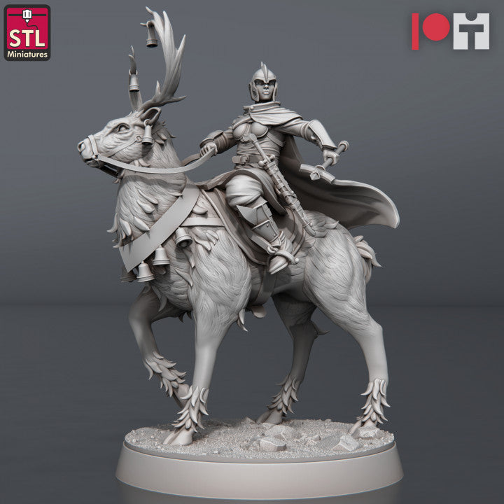 Dungeons & Dragons - STL Miniatures - Nobles Set