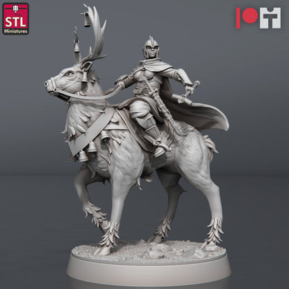 Dungeons & Dragons - STL Miniatures - Nobles Set
