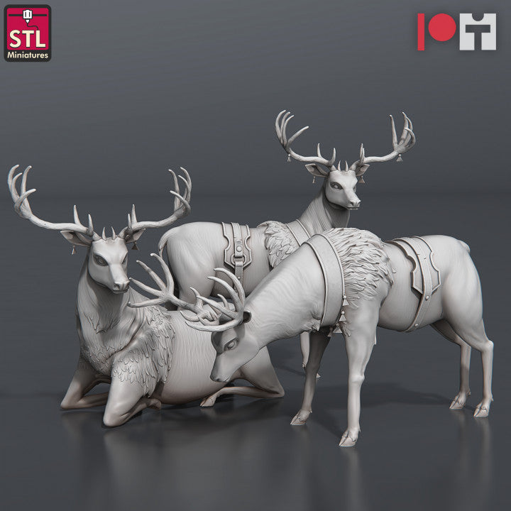 Dungeons & Dragons - STL Miniatures - Nobles Set