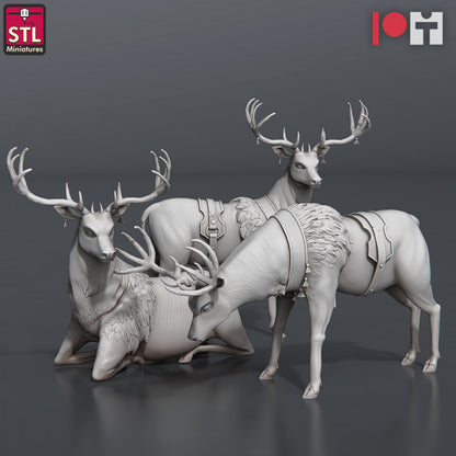 Dungeons & Dragons - STL Miniatures - Nobles Set