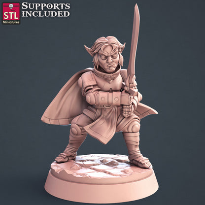 Dungeons & Dragons - STL Miniatures - Paladins Set