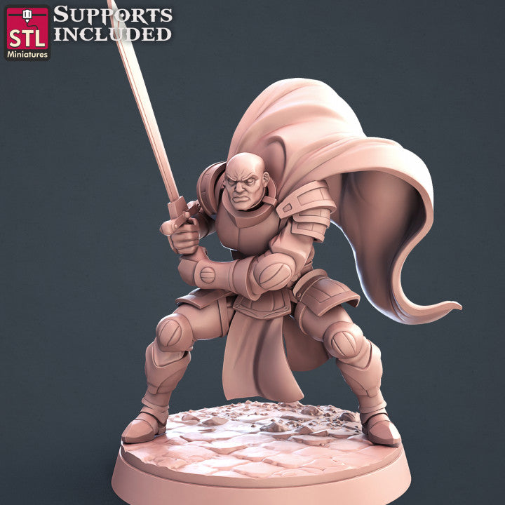 Dungeons & Dragons - STL Miniatures - Paladins Set