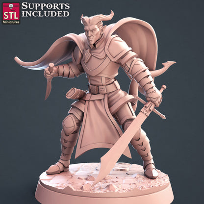 Dungeons & Dragons - STL Miniatures - Paladins Set