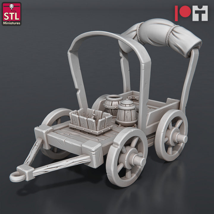 Dungeons & Dragons - STL Miniatures - Potion Vendor Set