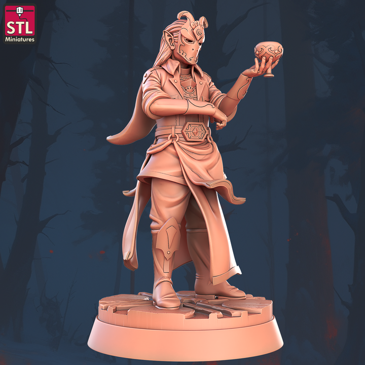 Dungeons & Dragons - STL Miniatures - Masquerade Vetenian Carnival Set