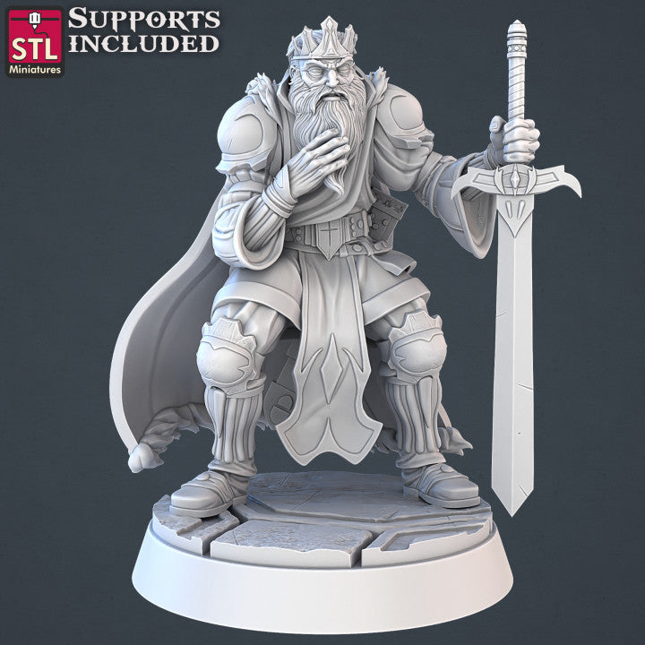 Dungeons & Dragons - STL Miniatures - Royal Court Set