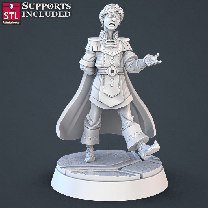 Dungeons & Dragons - STL Miniatures - Royal Court Set
