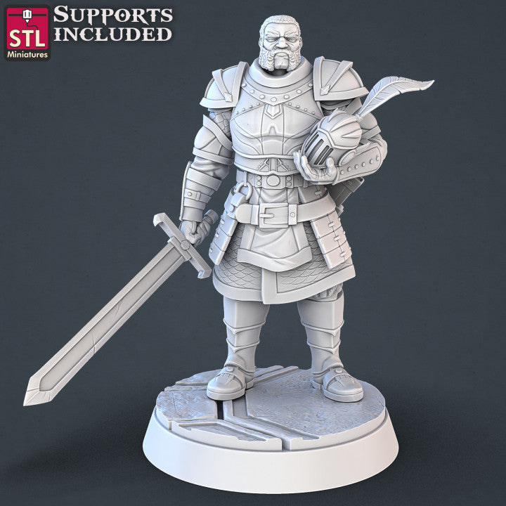 Dungeons & Dragons - STL Miniatures - Royal Court Set
