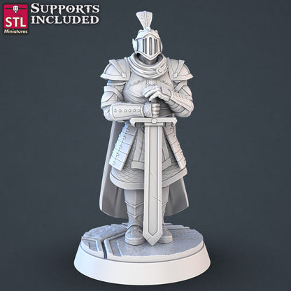 Dungeons & Dragons - STL Miniatures - Royal Court Set