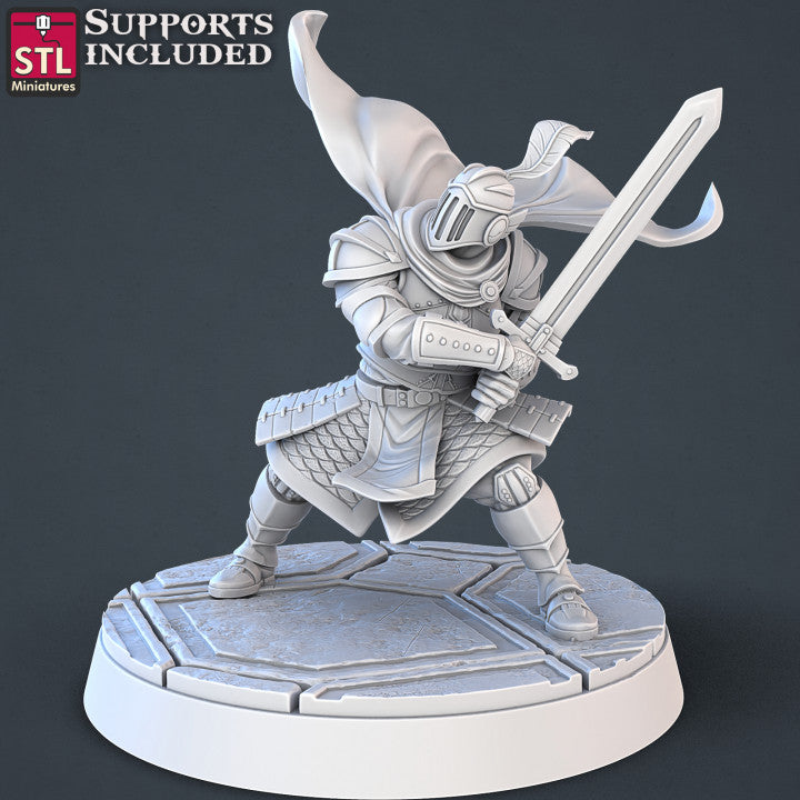 Dungeons & Dragons - STL Miniatures - Royal Court Set