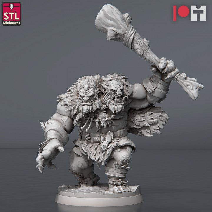 Dungeons & Dragons - STL Miniatures - Two Headed Trolls Set (2 Figurer)