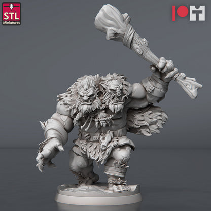 Dungeons & Dragons - STL Miniatures - Two Headed Trolls Set (2 Figurer)