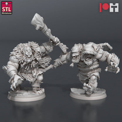 Dungeons & Dragons - STL Miniatures - Two Headed Trolls Set (2 Figurer)