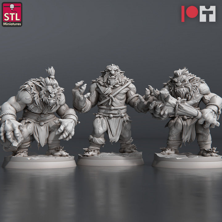 Dungeons & Dragons - STL Miniatures - Snow Trolls Set (3 Figurer)
