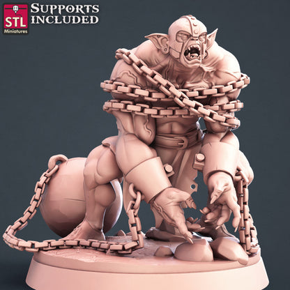 Dungeons & Dragons - STL Miniatures - Slave Merchant Set