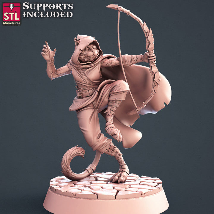 Dungeons & Dragons - STL Miniatures - Tabaxi Assassins Set (4 Figurer)