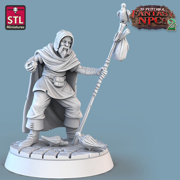 Dungeons & Dragons - STL Miniatures - Townsfolk Set 2