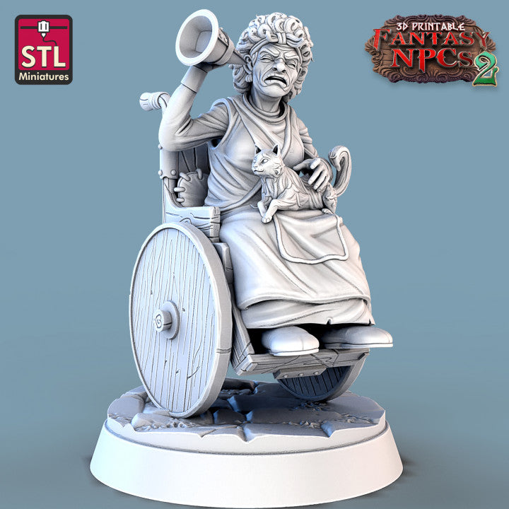 Dungeons & Dragons - STL Miniatures - Townsfolk Set 2